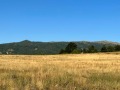 Продава ПАРЦЕЛ, област Перник, с. Кладница • 110000 € • 75762008 — Holmes.bg