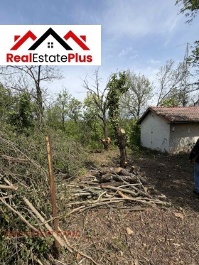 ����� ������� ����,���� ������, �-� ��������