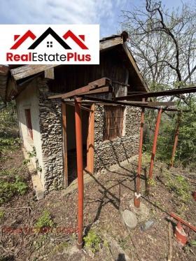 ����� ������� ����,���� ������, �-� ��������