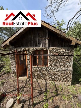 ����� ������� ����,���� ������, �-� ��������>