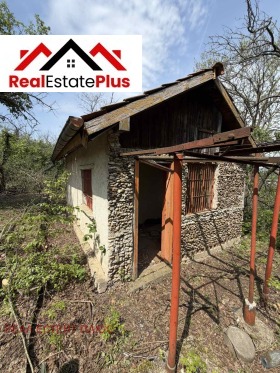 ����� ������� ����,���� ������, �-� ��������