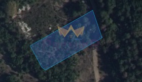 ����� ������� ������,���� �����, ������