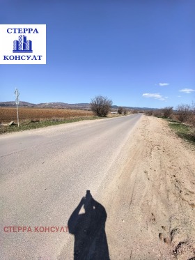 ����� ������� ���������� ����,��. ����������, ������ �����