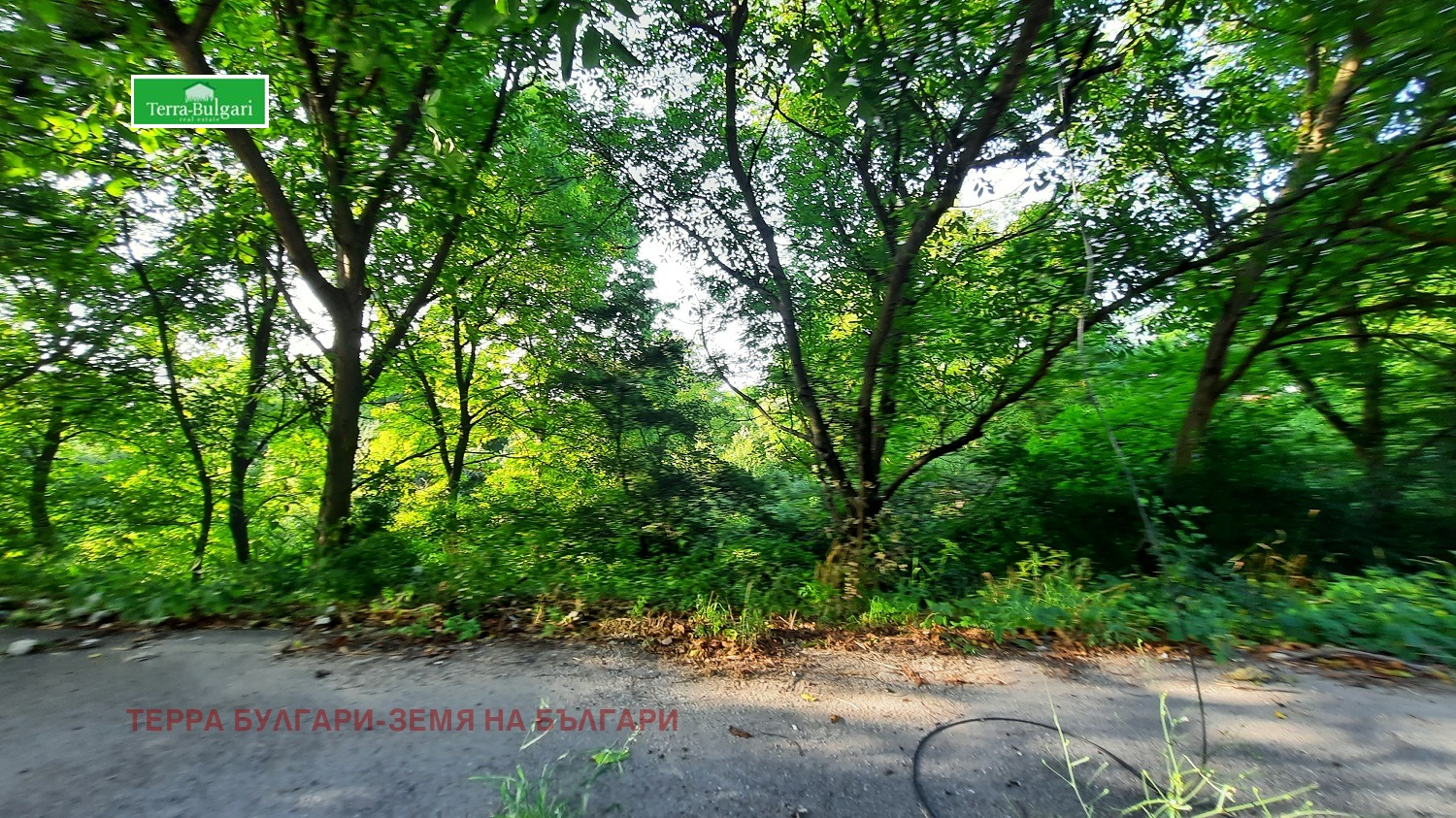 Продава ПАРЦЕЛ | Imot.bg — изображение 1