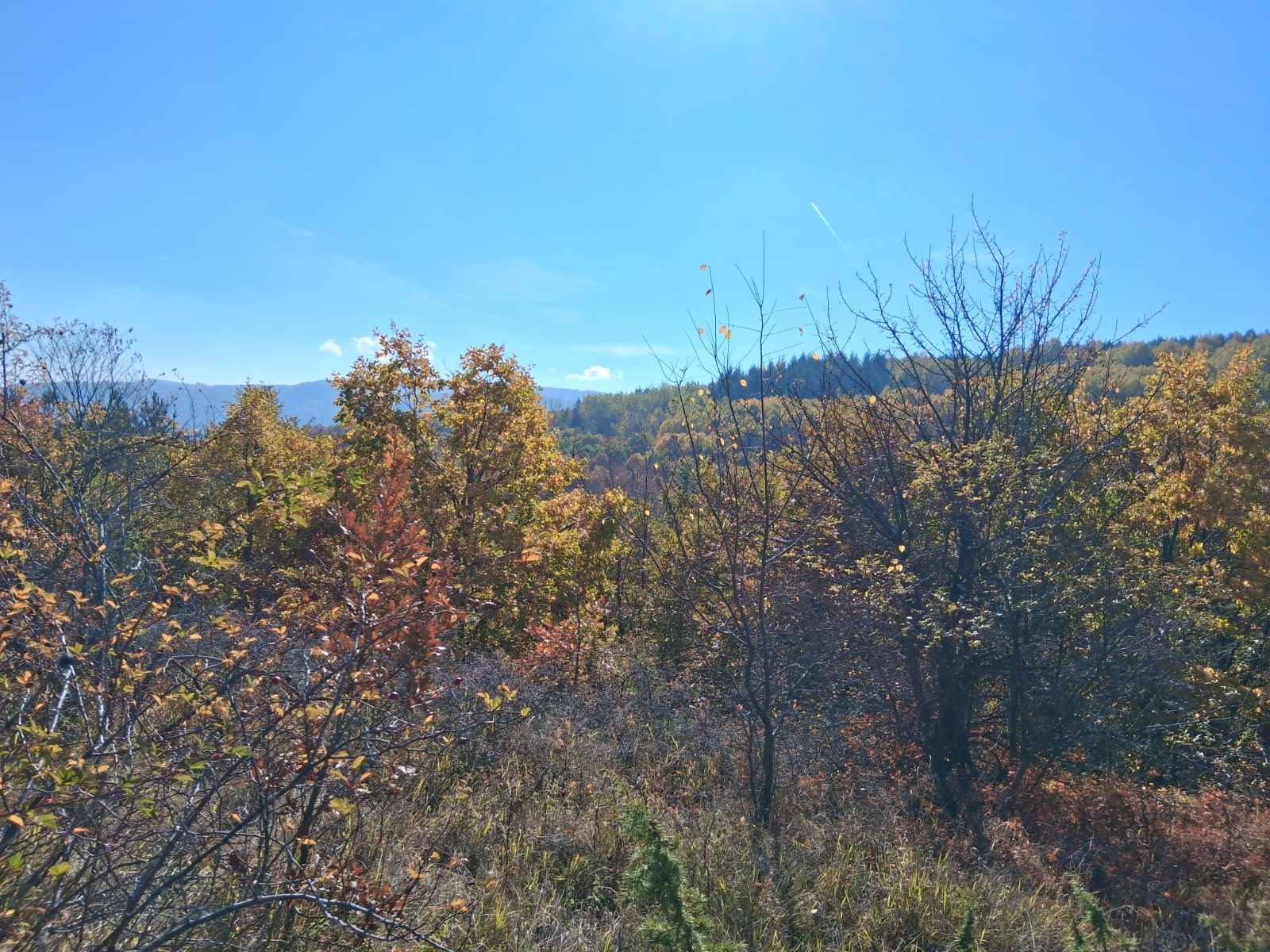 Продава ПАРЦЕЛ | Imot.bg — изображение 1