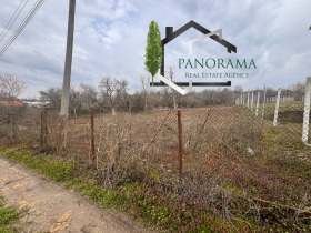 ����� ������� ������,���� �����, ������