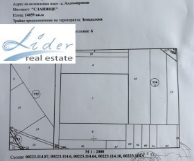 ������ ������� ������