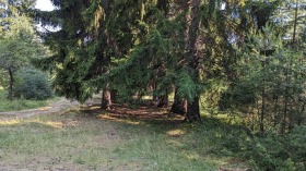 ������� ���������� ���� | Imot.bg � ����� ������ 9