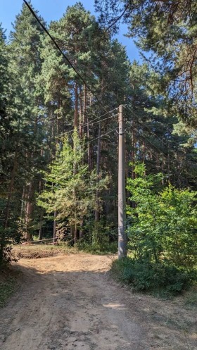 ����� ������� ���������� ����,�. �������, ������ �������