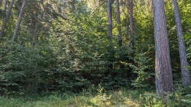 ������� ���������� ���� | Imot.bg � ����� ������ 10