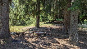 ������� ���������� ���� | Imot.bg � ����� ������ 5