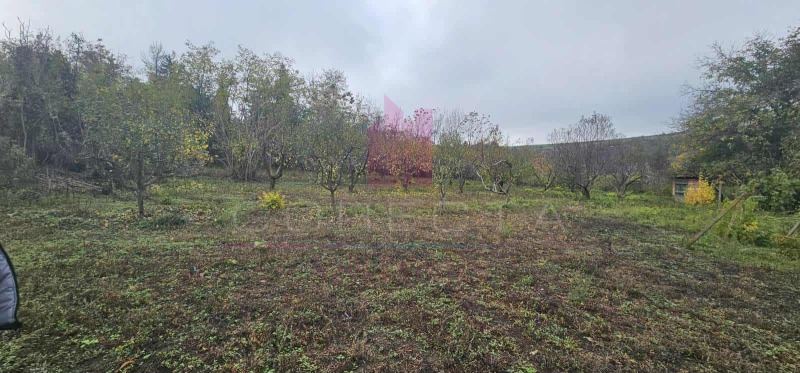 Продава КЪЩА, с. Босилковци, област Русе, снимка 15 - Къщи - 52376260