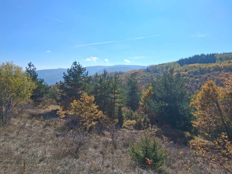 Продава ПАРЦЕЛ, гр. София, с. Кокаляне, снимка 3 - Парцели - 52155489