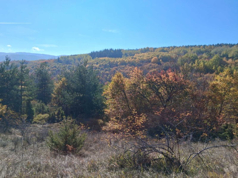 Продава ПАРЦЕЛ, гр. София, с. Кокаляне, снимка 2 - Парцели - 52155489