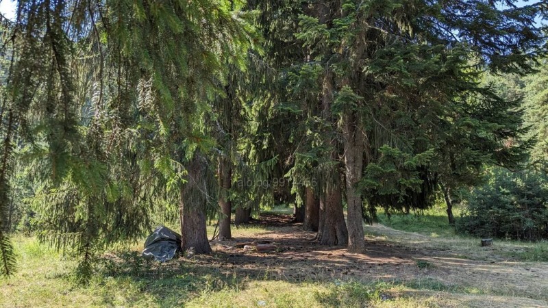 Продава ЗЕМЕДЕЛСКА ЗЕМЯ, с. Бойково, област Пловдив, снимка 3 - Земеделска земя - 53603002