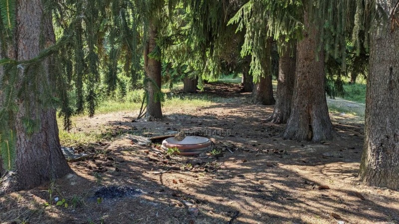 Продава ЗЕМЕДЕЛСКА ЗЕМЯ, с. Бойково, област Пловдив, снимка 6 - Земеделска земя - 53603002