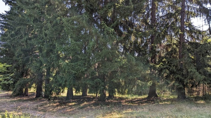 Продава ЗЕМЕДЕЛСКА ЗЕМЯ, с. Бойково, област Пловдив