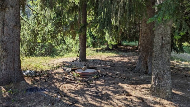 Продава ЗЕМЕДЕЛСКА ЗЕМЯ, с. Бойково, област Пловдив, снимка 4 - Земеделска земя - 53603002