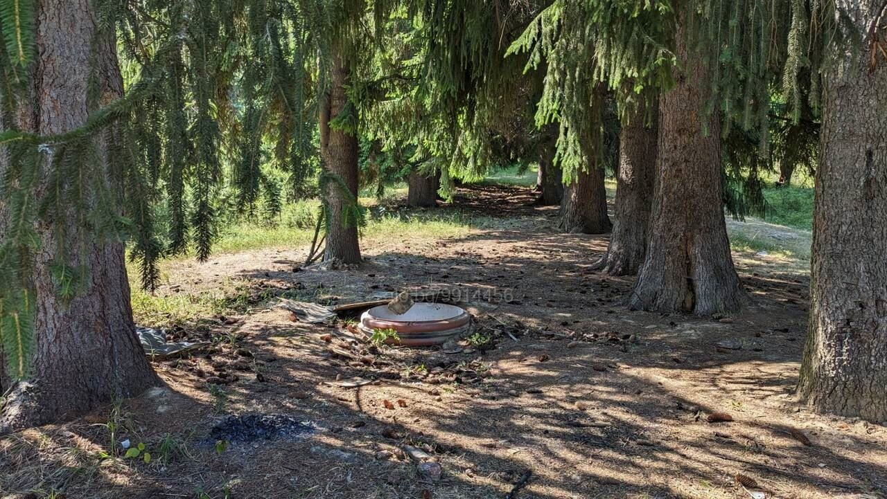 Продава ЗЕМЕДЕЛСКА ЗЕМЯ, с. Бойково, област Пловдив, снимка 6 - Земеделска земя - 53603002