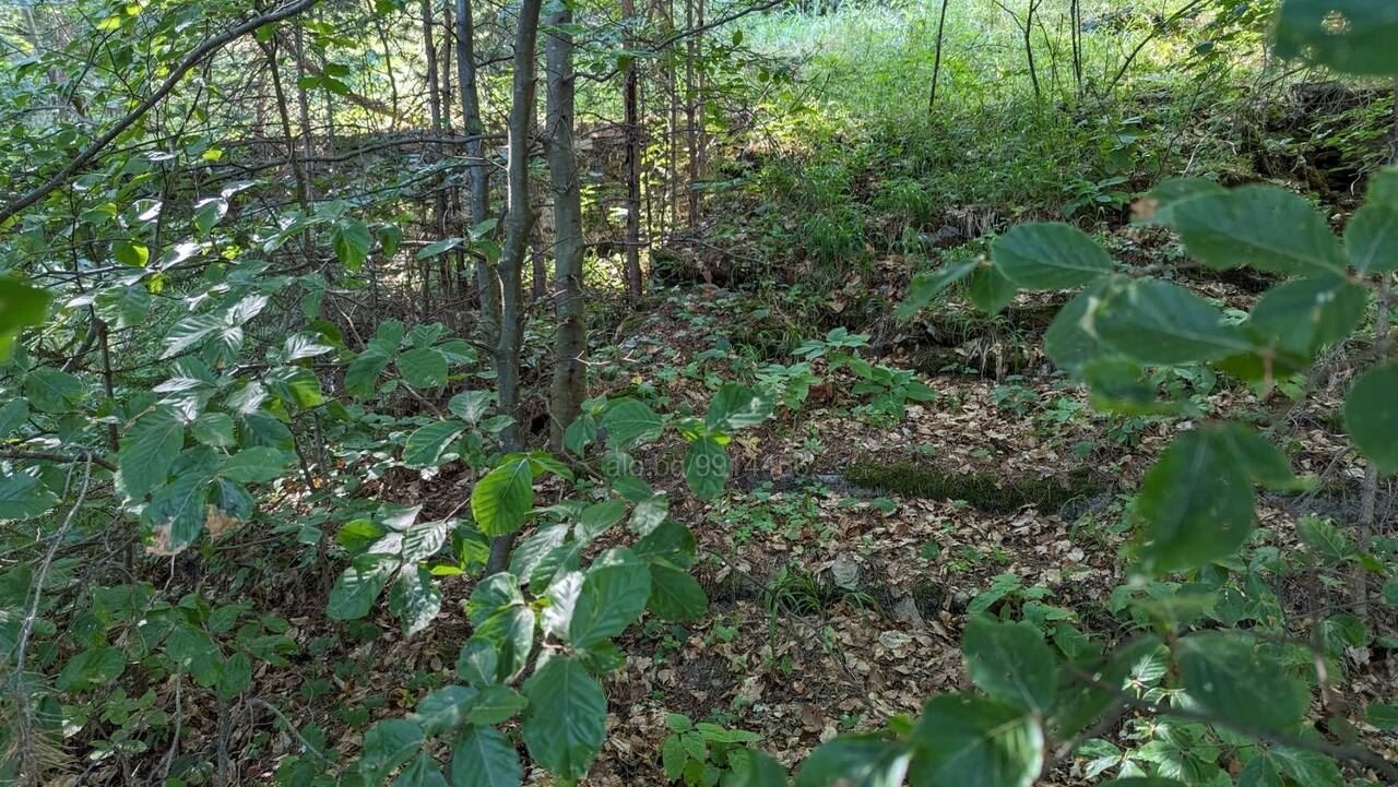 Продава ЗЕМЕДЕЛСКА ЗЕМЯ, с. Бойково, област Пловдив, снимка 5 - Земеделска земя - 53603002