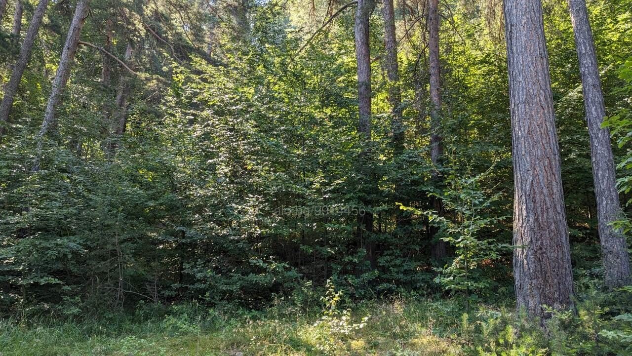 Продава ЗЕМЕДЕЛСКА ЗЕМЯ, с. Бойково, област Пловдив, снимка 9 - Земеделска земя - 53603002