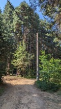 Продава  Земеделска земя област Пловдив , с. Бойково , 3 дка | 24118978 - изображение [3]