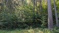 Продава  Земеделска земя област Пловдив , с. Бойково , 3 дка | 24118978 - изображение [10]