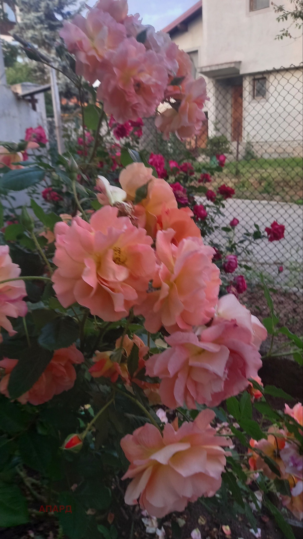 ������� ���� | Imot.bg � ����������� 15