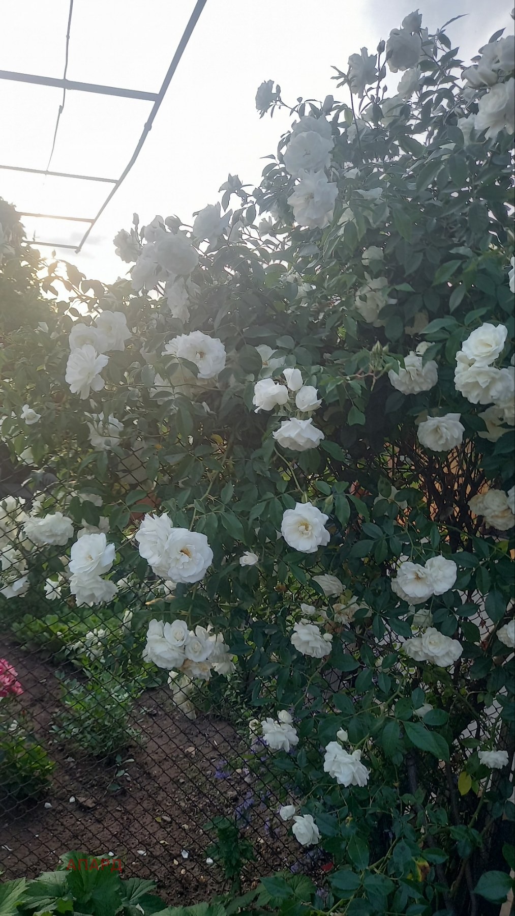 ������� ���� | Imot.bg � ����������� 14