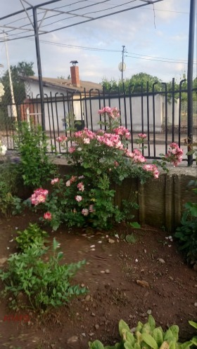 ������� ���� | Imot.bg � ����� ������ 13