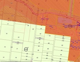 ����� ������� ������,���� �����, ��. �����