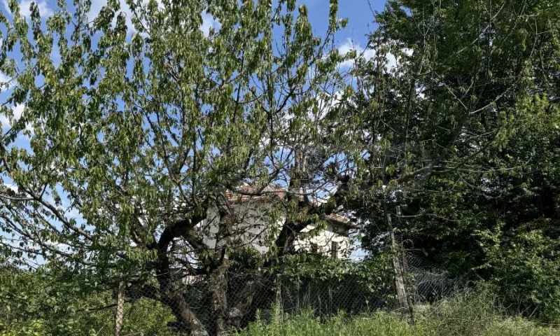 Till salu  Hus region Veliko Tarnovo , Momin sbor , 200 kvm | 28356188 - bild [5]