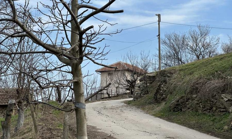 Til salg  Hus region Veliko Tarnovo , Momin sbor , 200 kvm | 28356188 - billede [5]