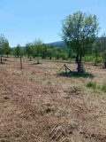 Продава ЗЕМЕДЕЛСКА ЗЕМЯ, с. Баня, област Бургас, снимка 4
