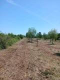 Продава ЗЕМЕДЕЛСКА ЗЕМЯ, с. Баня, област Бургас, снимка 1