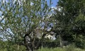 Продава КЪЩА, област Велико Търново, с. Момин сбор • 79000 € • 17534284 — Holmes.bg