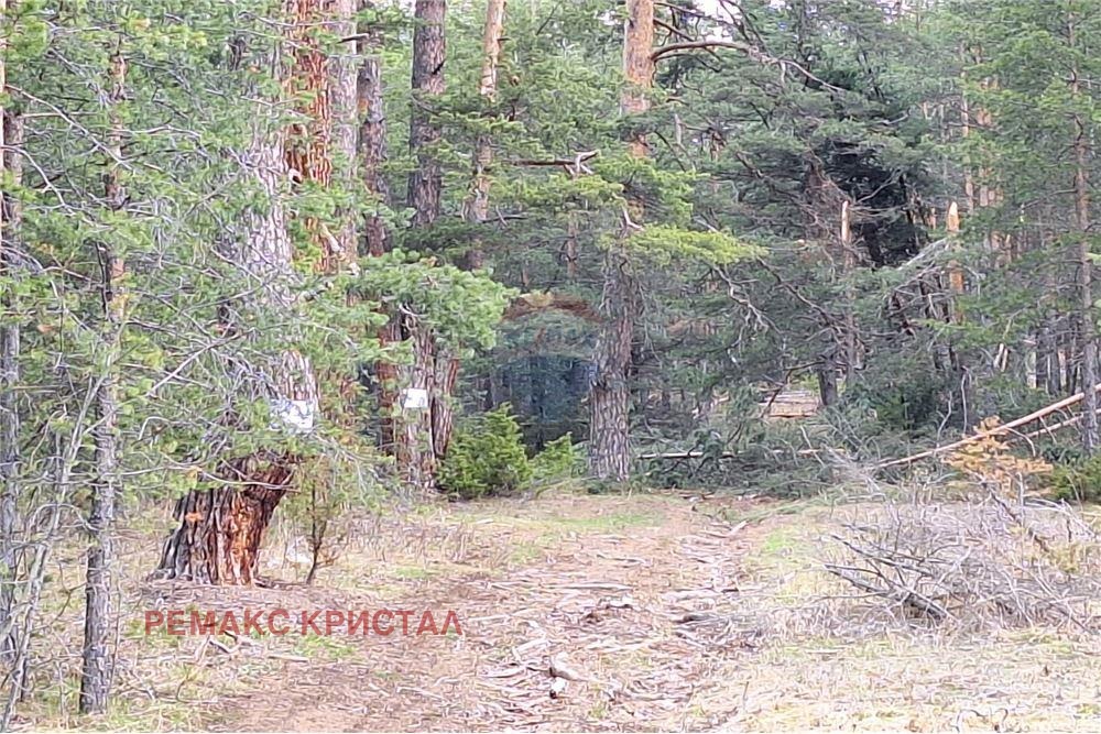 ������� ������ | Imot.bg � ����������� 9