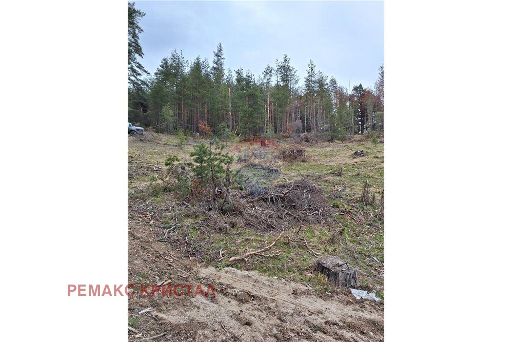 ������� ������ | Imot.bg � ����������� 8