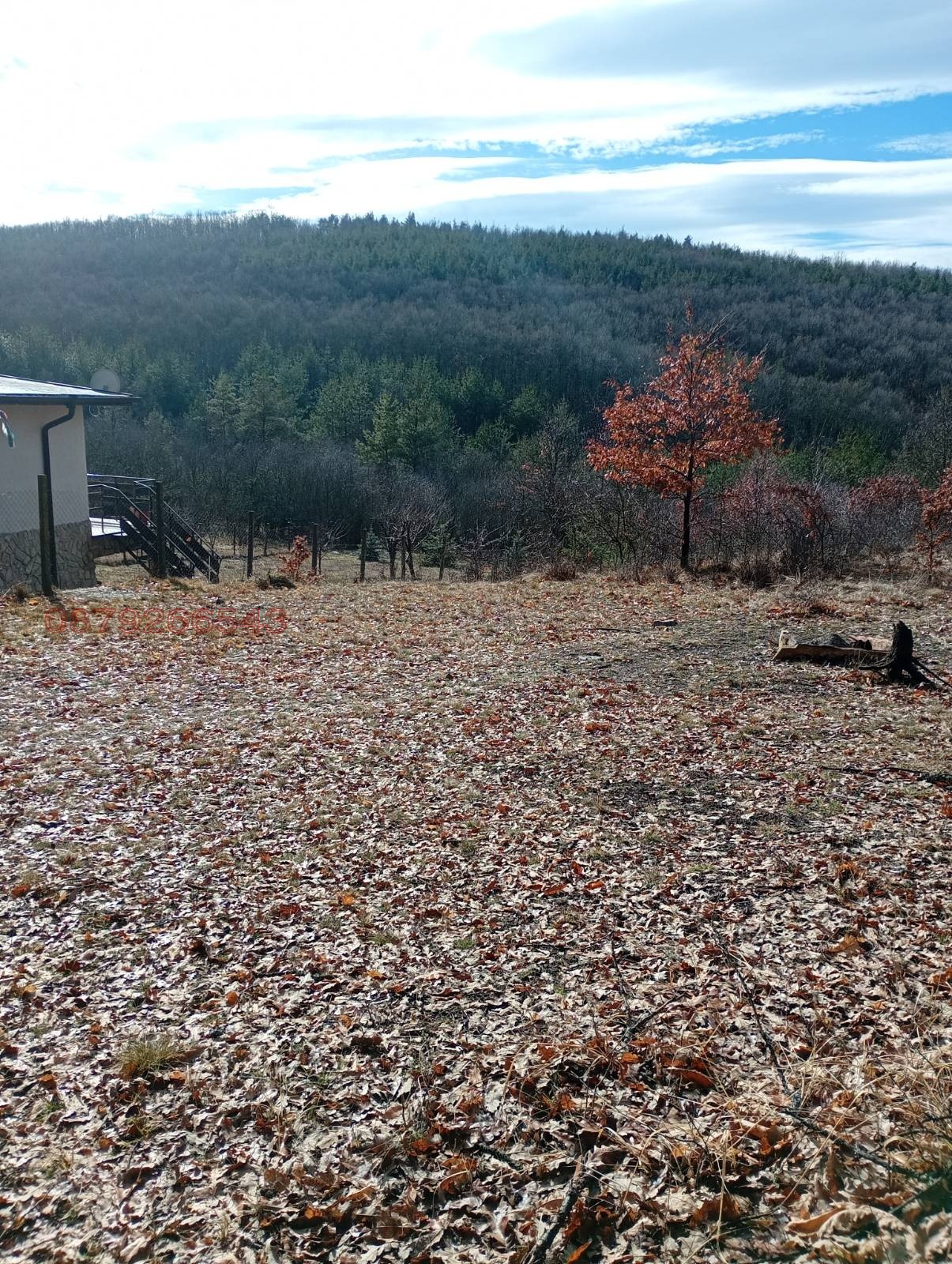 ������� ������ | Imot.bg � ����������� 1