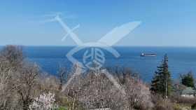 ����� ������� ����,���� �����, �-� ������