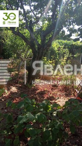 ������� ���� | Imot.bg � ����� ������ 5