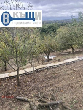 ������� ���� | Imot.bg � ����� ������ 8