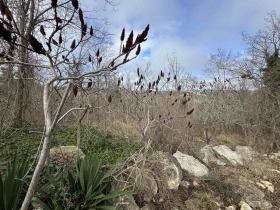 ������ ������� ������