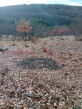 ������� ������ | Imot.bg � ����� ������ 7