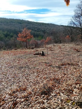 ������� ������ | Imot.bg � ����� ������ 3