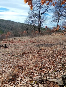 ������� ������ | Imot.bg � ����� ������ 2