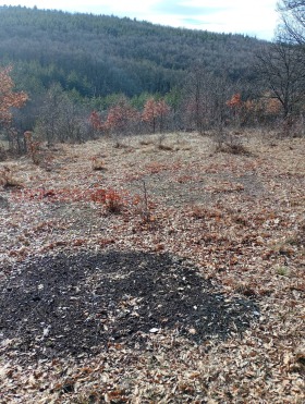 ������� ������ | Imot.bg � ����� ������ 5