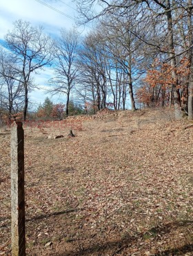 ������� ������ | Imot.bg � ����� ������ 9