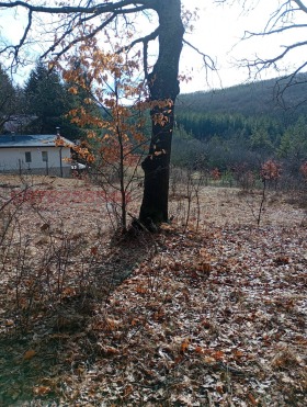 ������� ������ | Imot.bg � ����� ������ 8