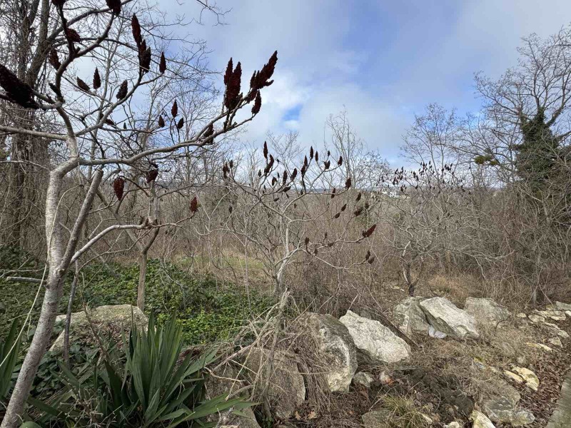 Продава ПАРЦЕЛ, гр. Варна, м-т Горна Трака, снимка 2 - Парцели - 53252596